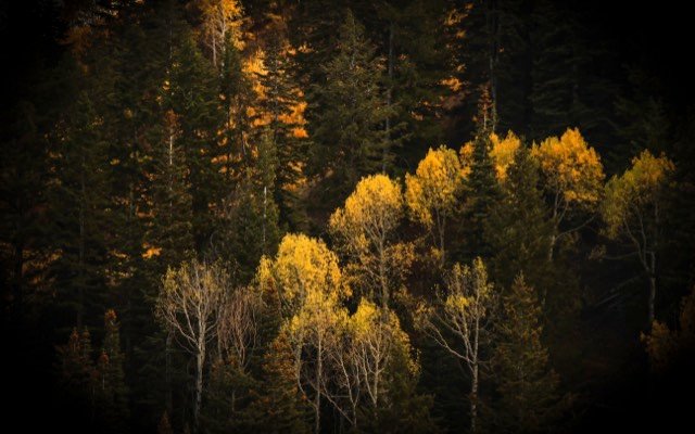 Moody Outdoor Lightroom Pack